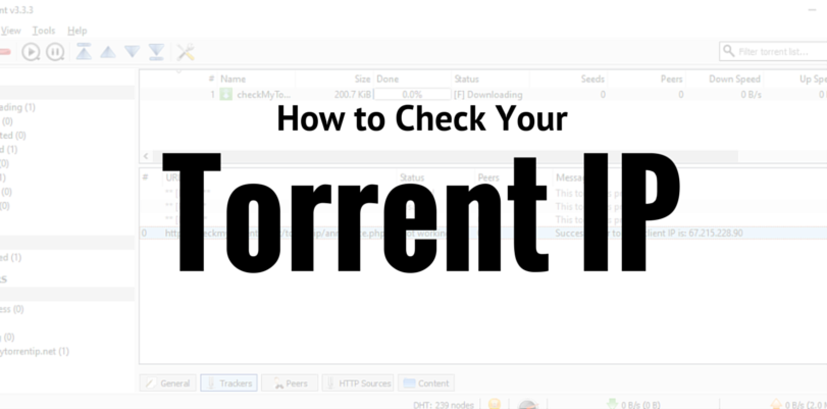 torrent ip