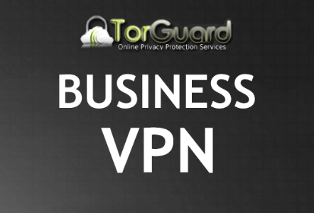 What are the Best Business VPNs? 