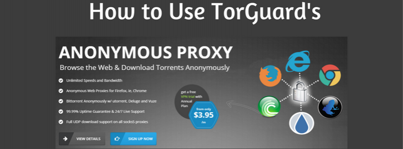 how-to-use-torguars
