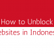 how-to-unblock-websites-in-indonesia