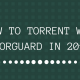 HOW TO TORRENT WITH TORGUARD