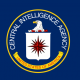 2017-06-22 09_59_14-CIA – Google Search