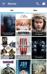 What are the Best Alternatives to Popcorn Time? 