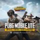 download PUBG Lite from anywhere